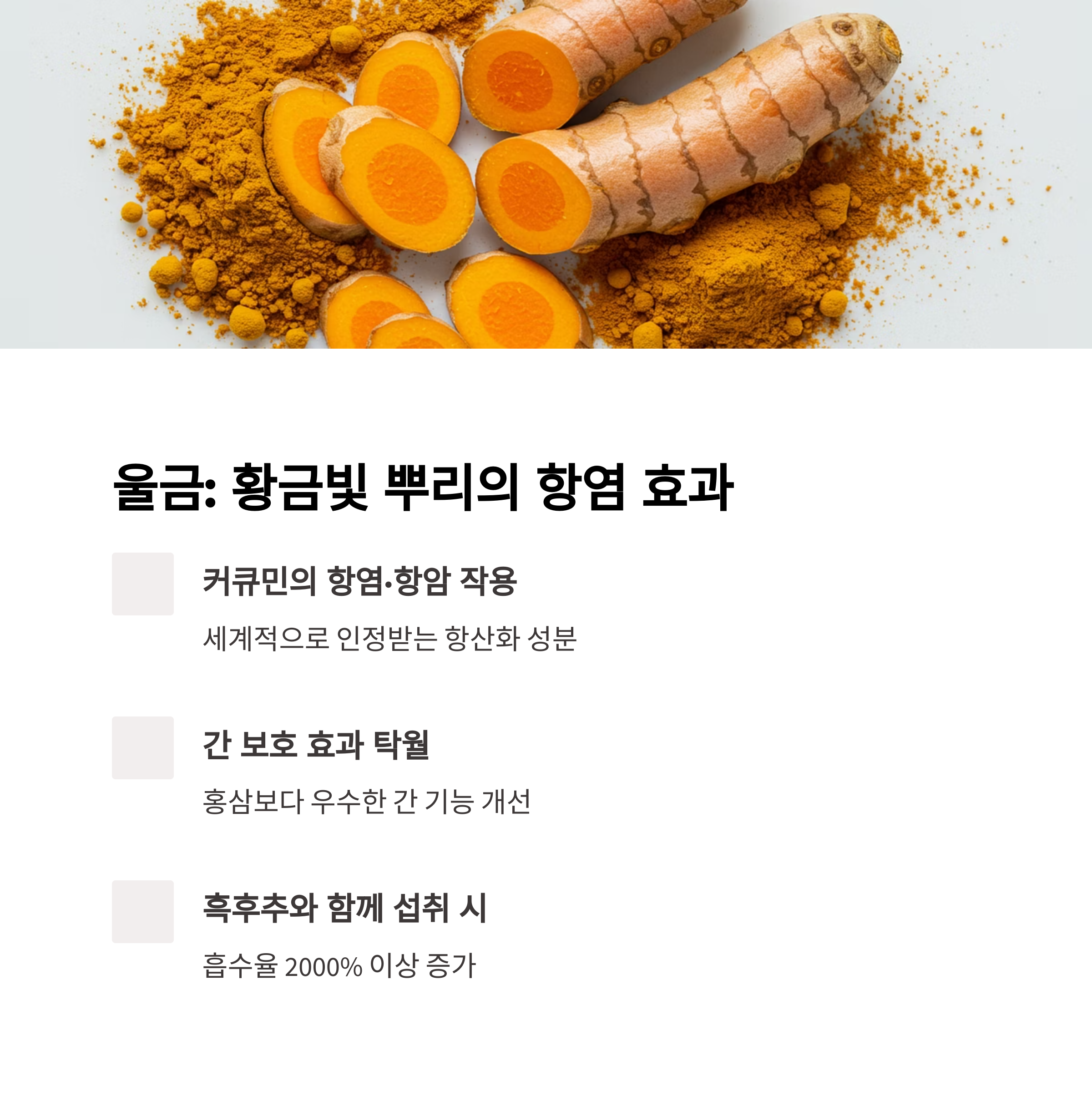 울금 (강황): 간과 면역을 지키는 황금 뿌리