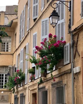 프로방스 비밀 정원 올리브 오일 허브 전통 요리 체험_15