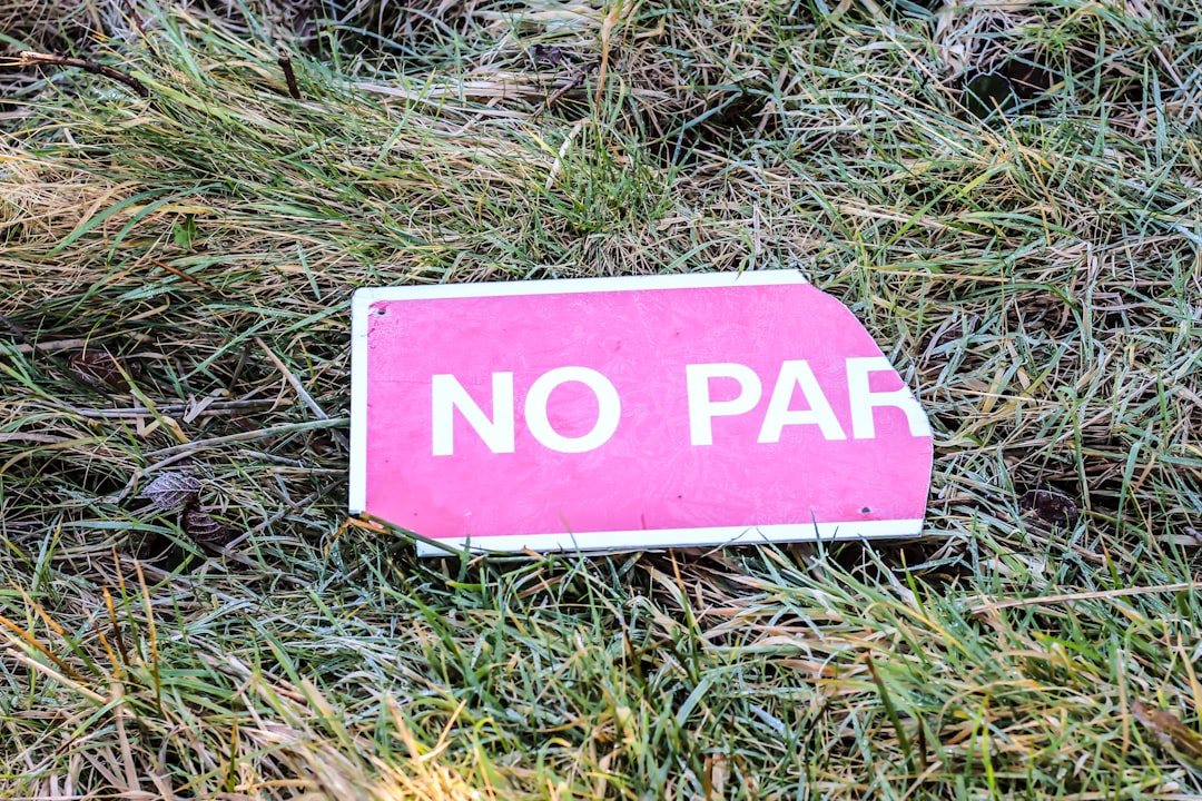 Pay stub.