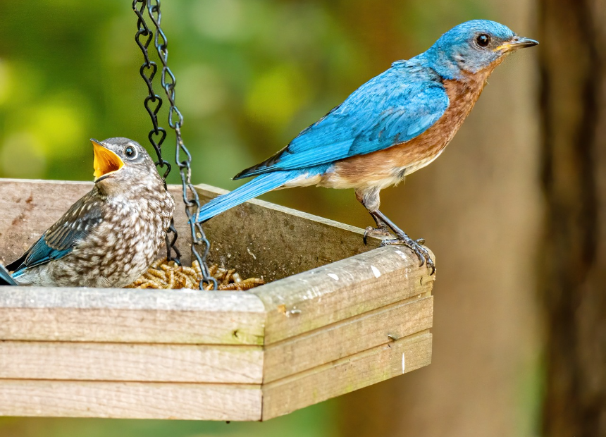 아직 모든게 미숙하고 어설프다.