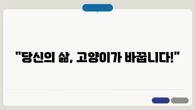 고양이 키우기 전에 알아야 할 사항 : 필독