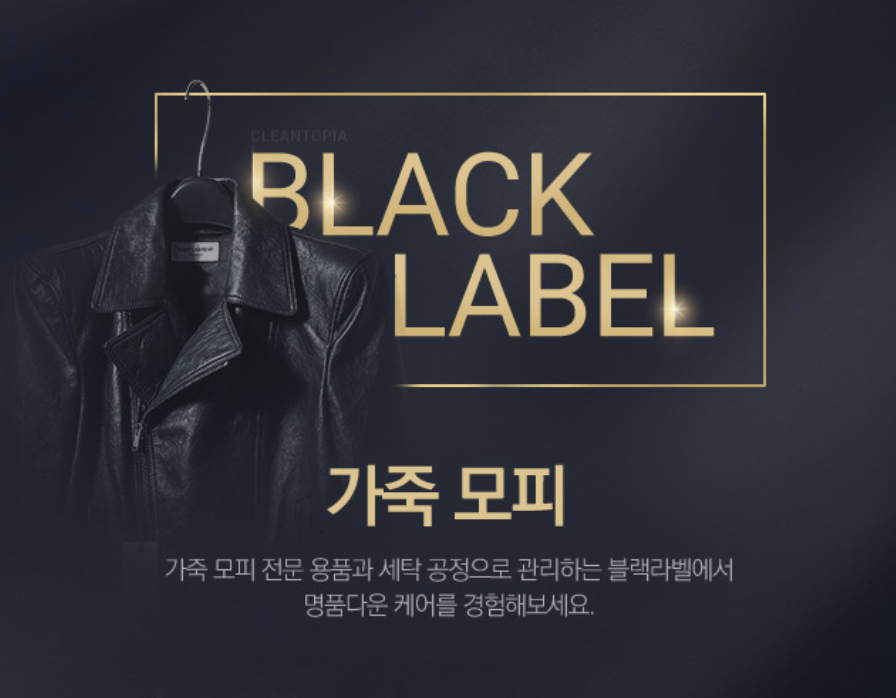 크린토피아 명품 세탁