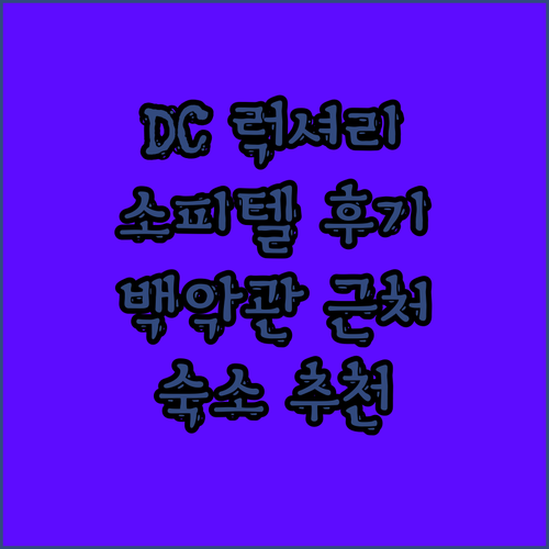 워싱턴 DC 럭셔리 호텔 소피텔 라파