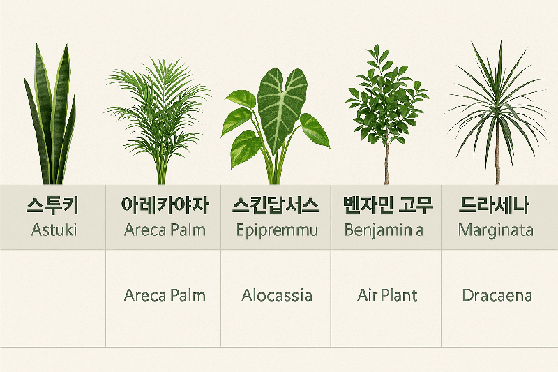 공기정화 식물 인기 순위 TOP7|실내 공기까지 바꾸는 초보자 추천 식물