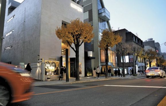 신사동 가로수길 이미지