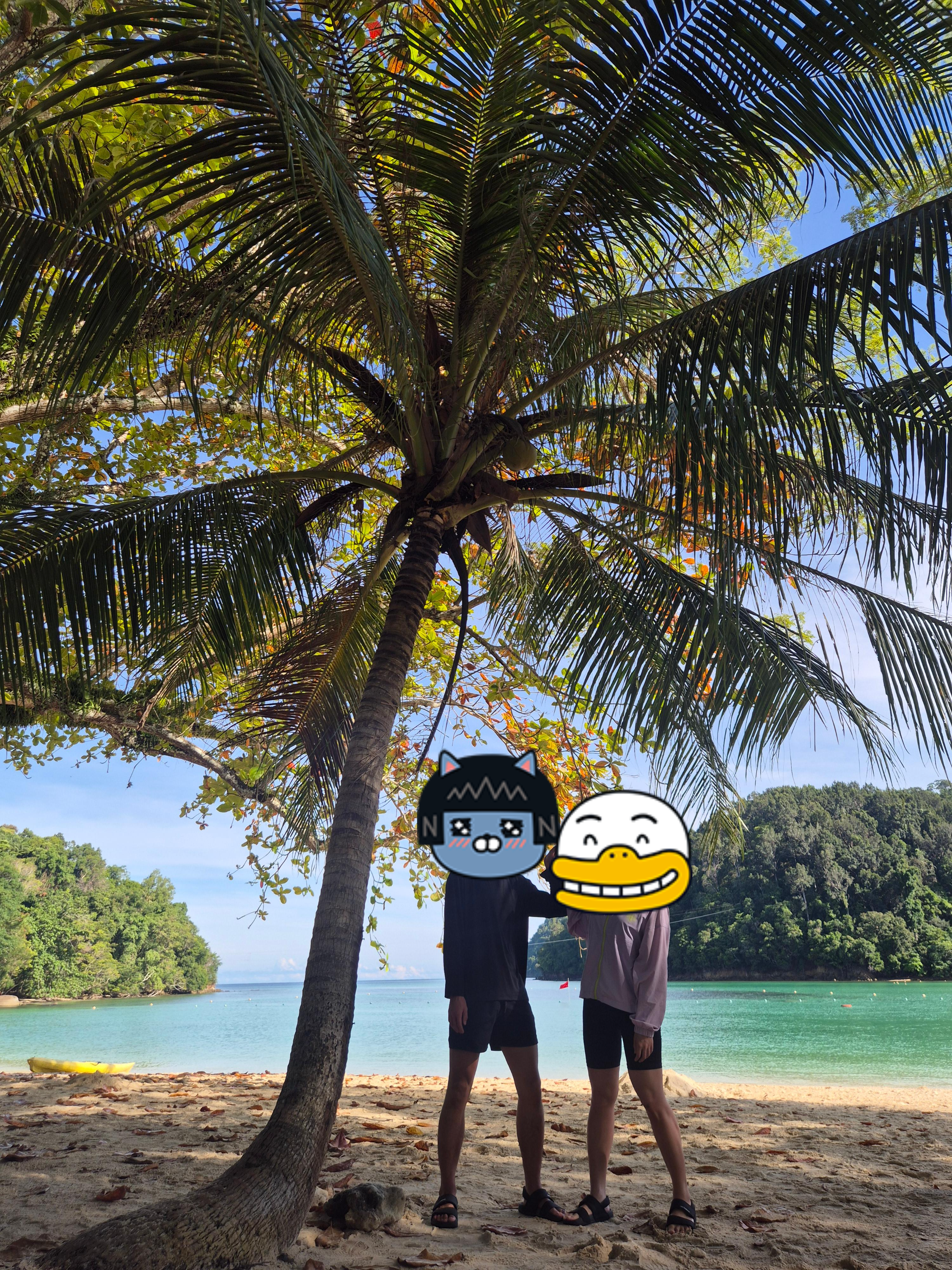 코타키나발루 사피섬 마누칸 호핑투어