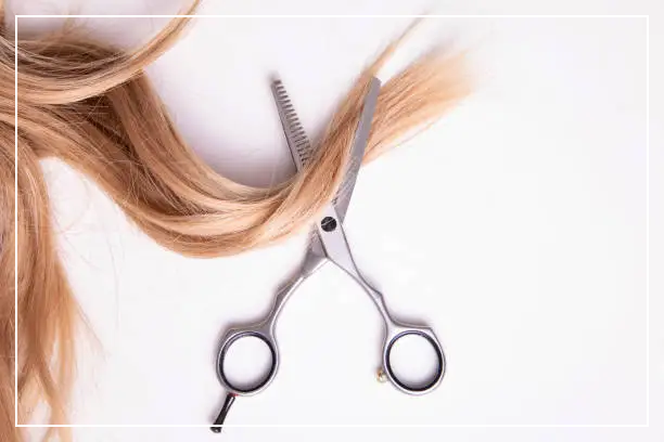 미용과정형평가