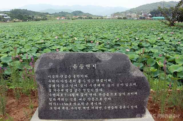 유등연지
