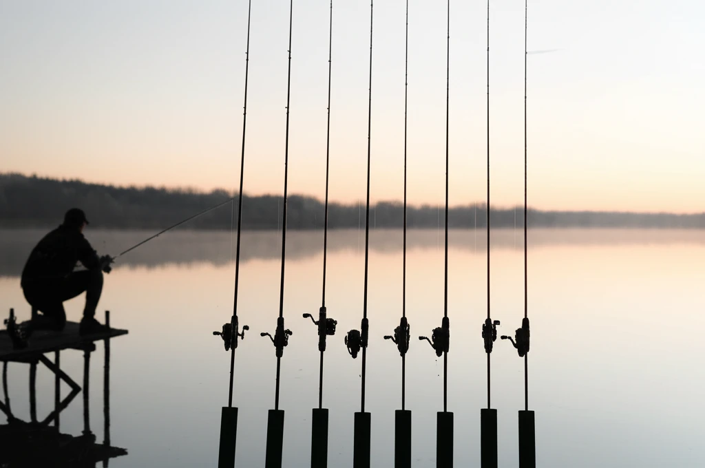 낚시대 제대로 알고 선택하기: 종류별