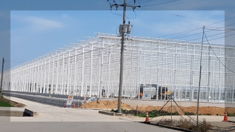 우듬지팜 기어 이미지