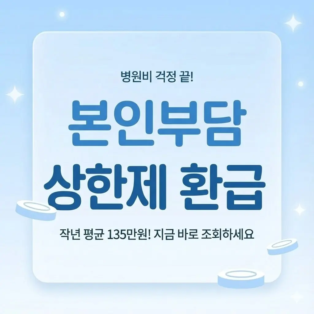 건강보험료 본인부담상한제 환급금 알아보기