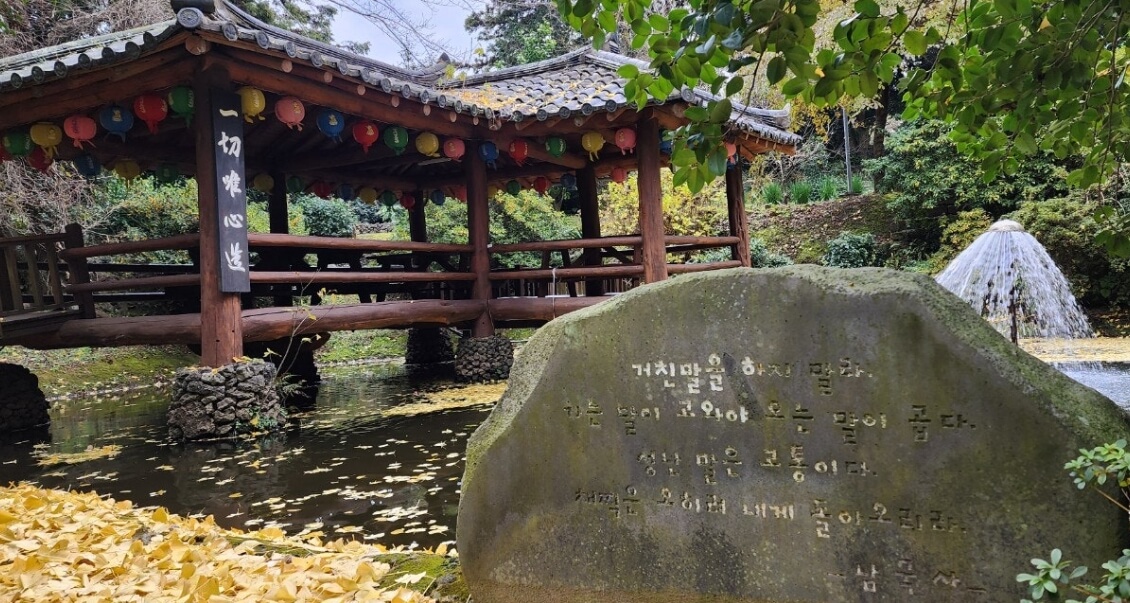제주 남국사 : 삼나무 길과 수국이 아름다운 비밀 정원 제주 시내 작은 절