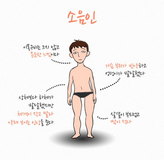 소음인