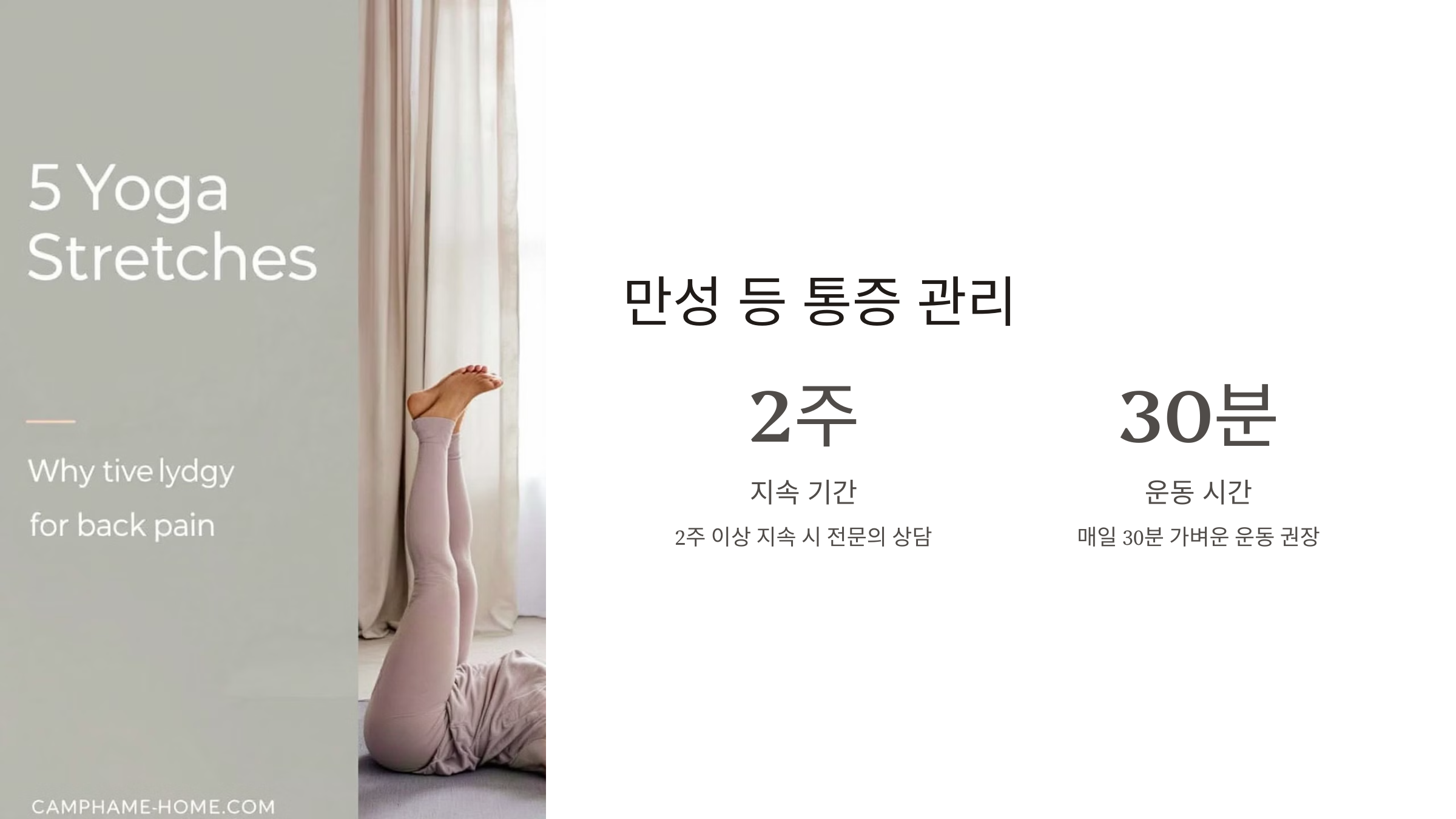 등 통증이 의심되는병