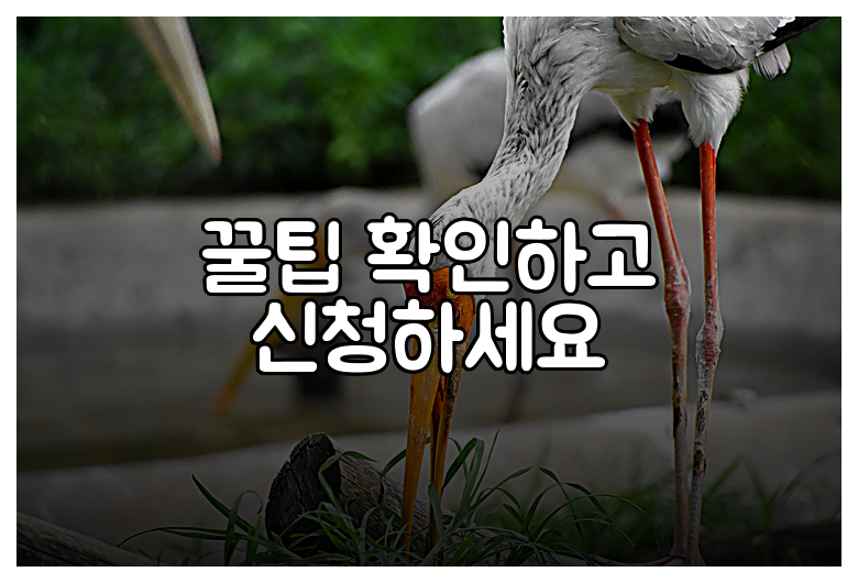 꿀팁 확인하고 신청하세요