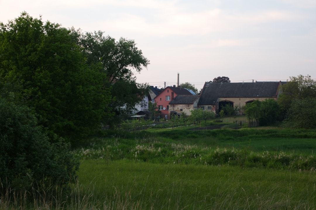 Rural