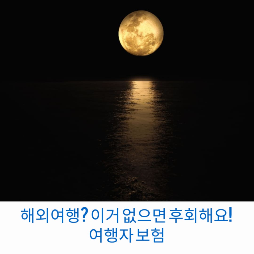 해외여행-이것-없으면-후회해요-여행자-보험-썸네일