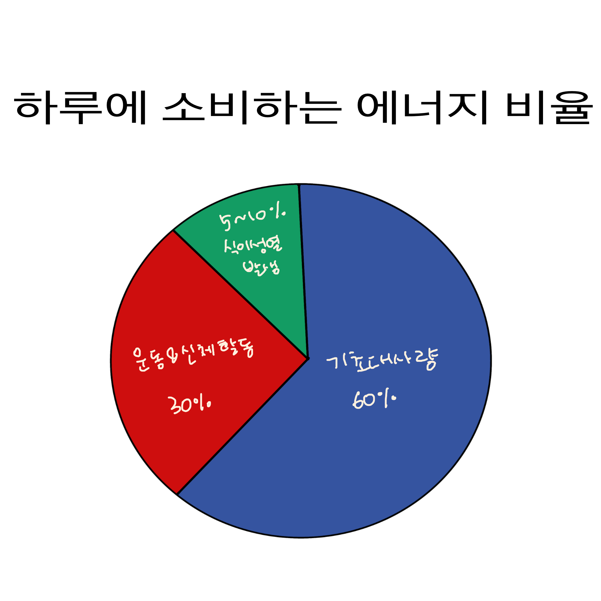 우리 몸의 하루 에너지 소비량 비율