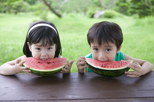 2024년 초복 중복 말복에 먹으면 좋은 음식