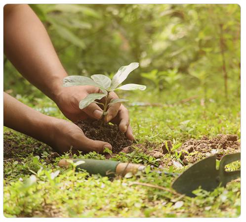 강원 세계산림엑스포