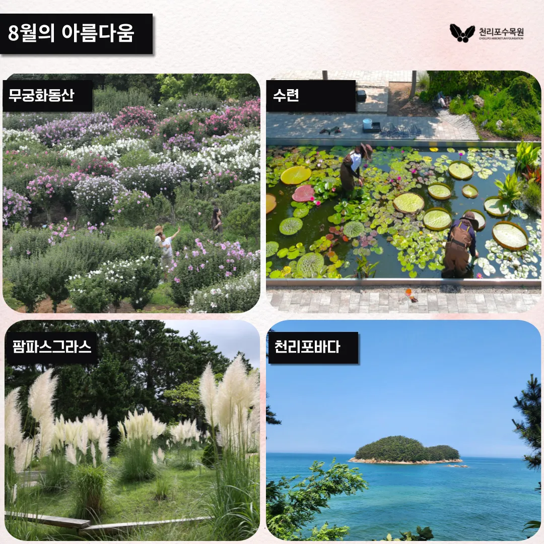 천리포 수목원 목련축제 입장료 여행코스_6