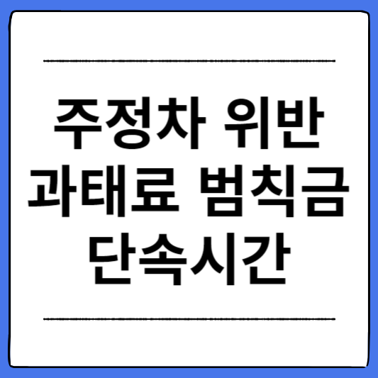 주정차-위반-과태료-범칙금-단속시간