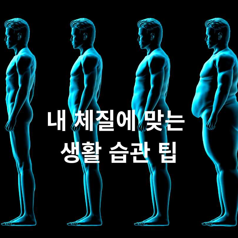 사상체질 자가진단: 태양인, 태음인, 소양인, 소음인 차이점과 테스트