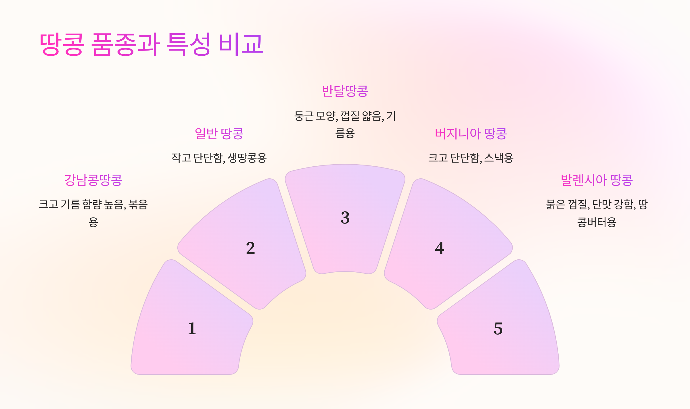 🥜 땅콩 품종과 특성 비교