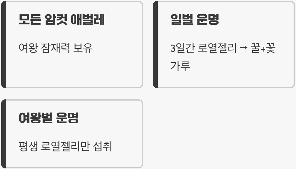 역할은 어떻게 정해질까?