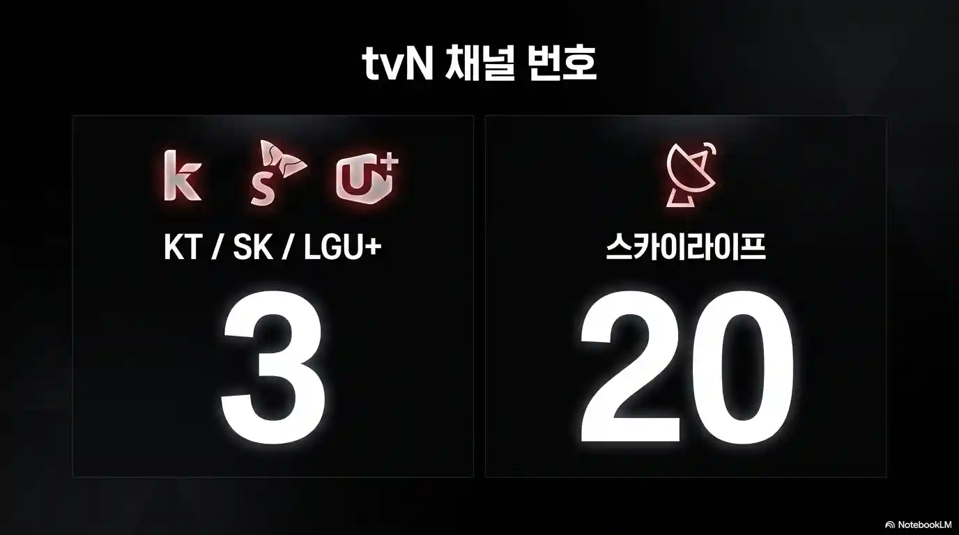 UFC 329 tvN 채널 번호 안내 KT SK브로드밴드 LG유플러스 3번 스카이라이프 20번