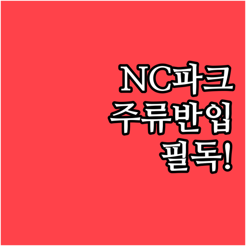 창원NC파크 주류 반입 기준 및 캔 ..