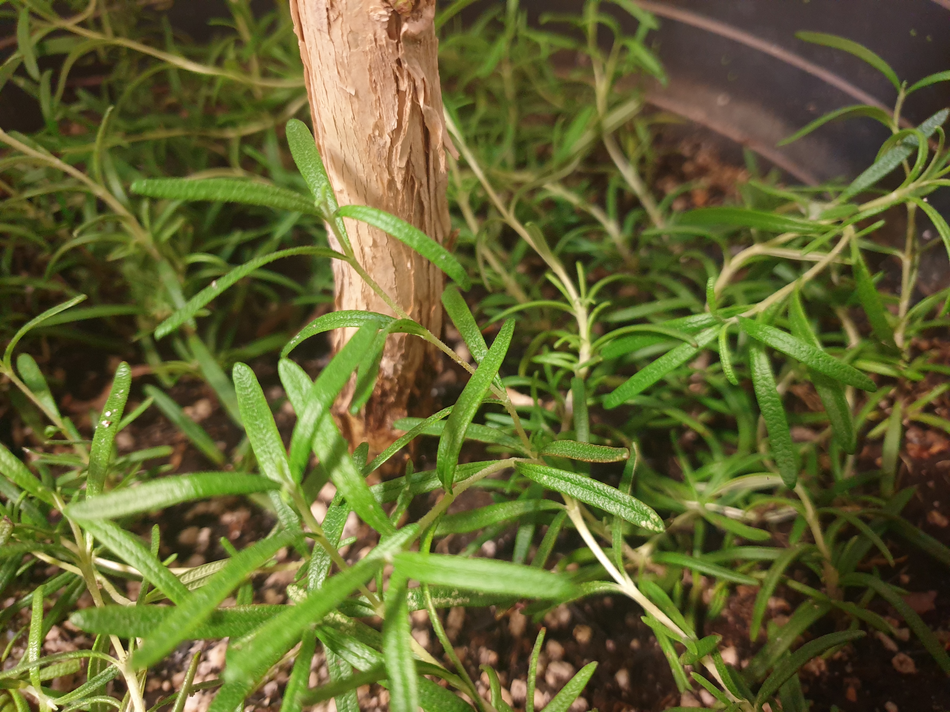 조상을 만나는 꿈
돌아가신 조상꿈
조상이 나오는 꿈
죽은조상꿈
조상묘꿈
조상이 웃는 꿈
조상에게 절 하는 꿈
조상 산소 꿈
조상무덤 꿈
죽은 조상 나오는 꿈