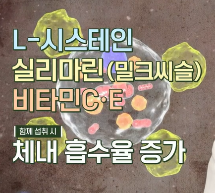 글루타치온 복용법