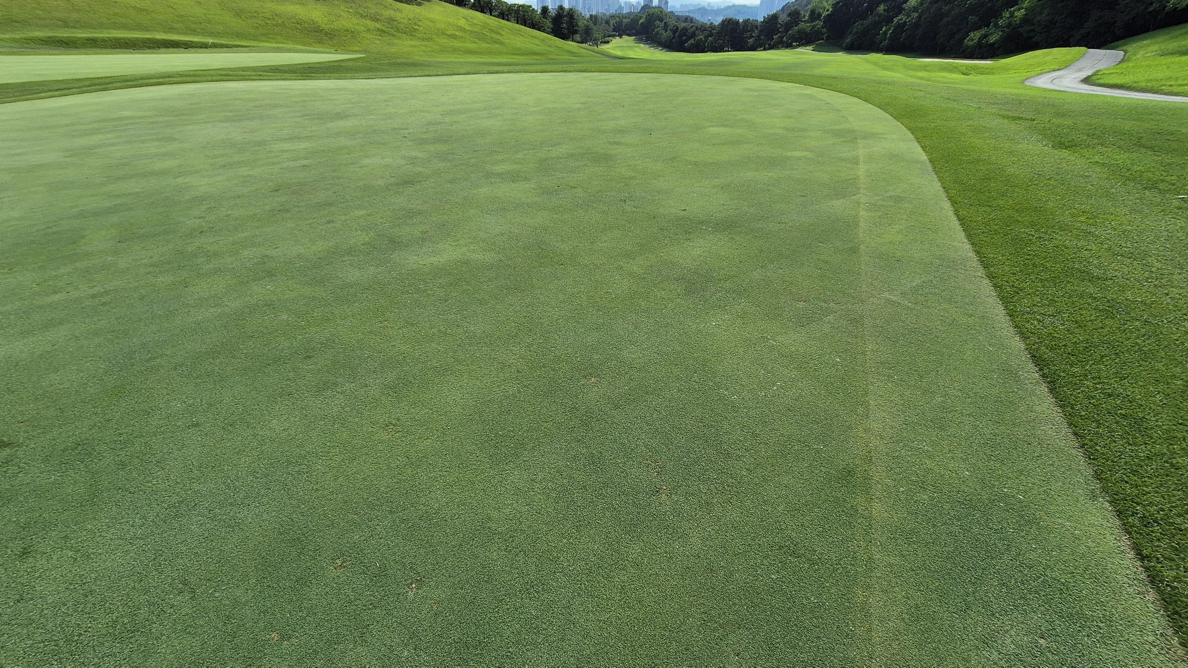 태광cc 북-서 코스 라운드 후기