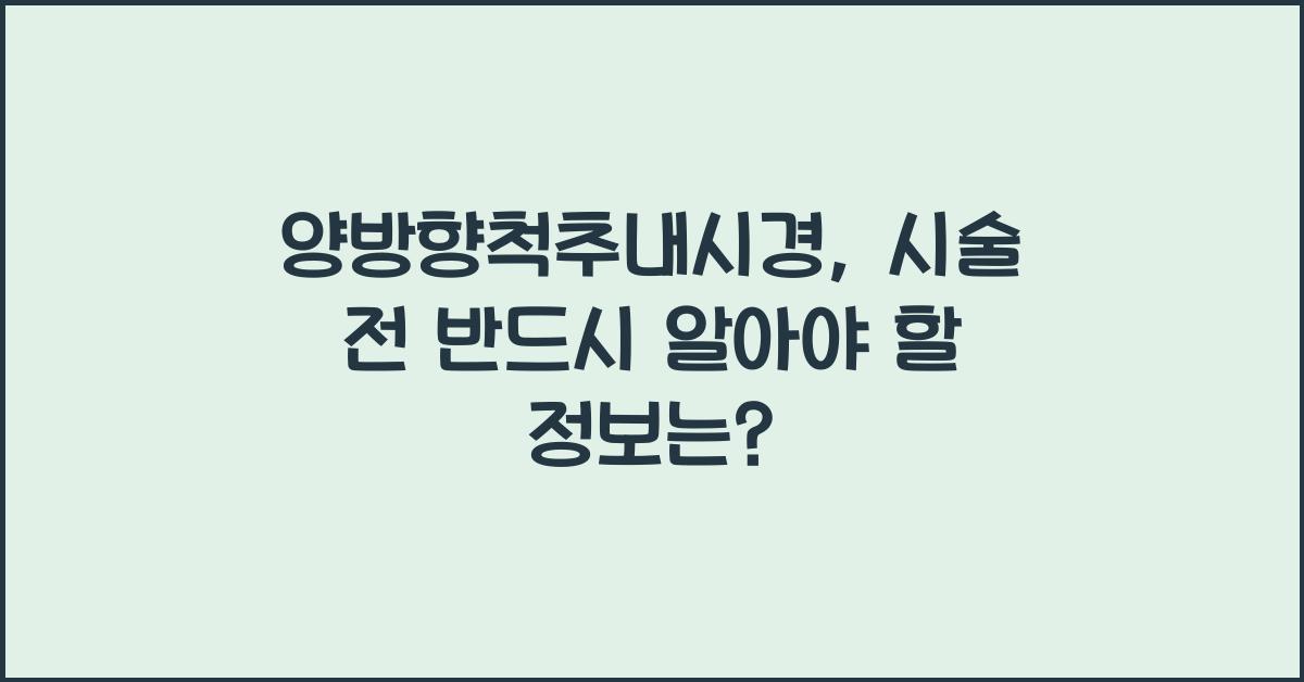 양방향척추내시경