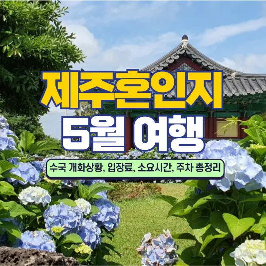 제주혼인지 5월 여행 추천