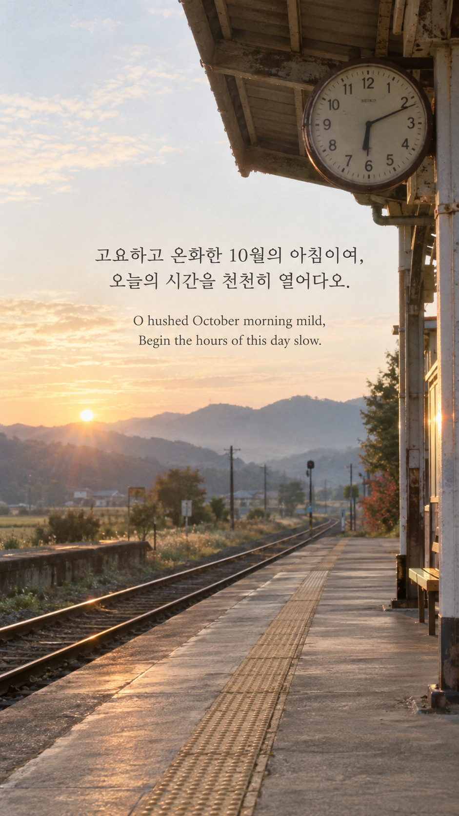 로버트 프로스트의 천천히 시작하는 하루에 관한 가을 글귀 &mdash; 한글과 영어 원문을 담은 아날로그 필름 사진