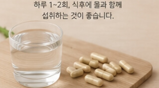 밀크씨슬 효과와 복용법