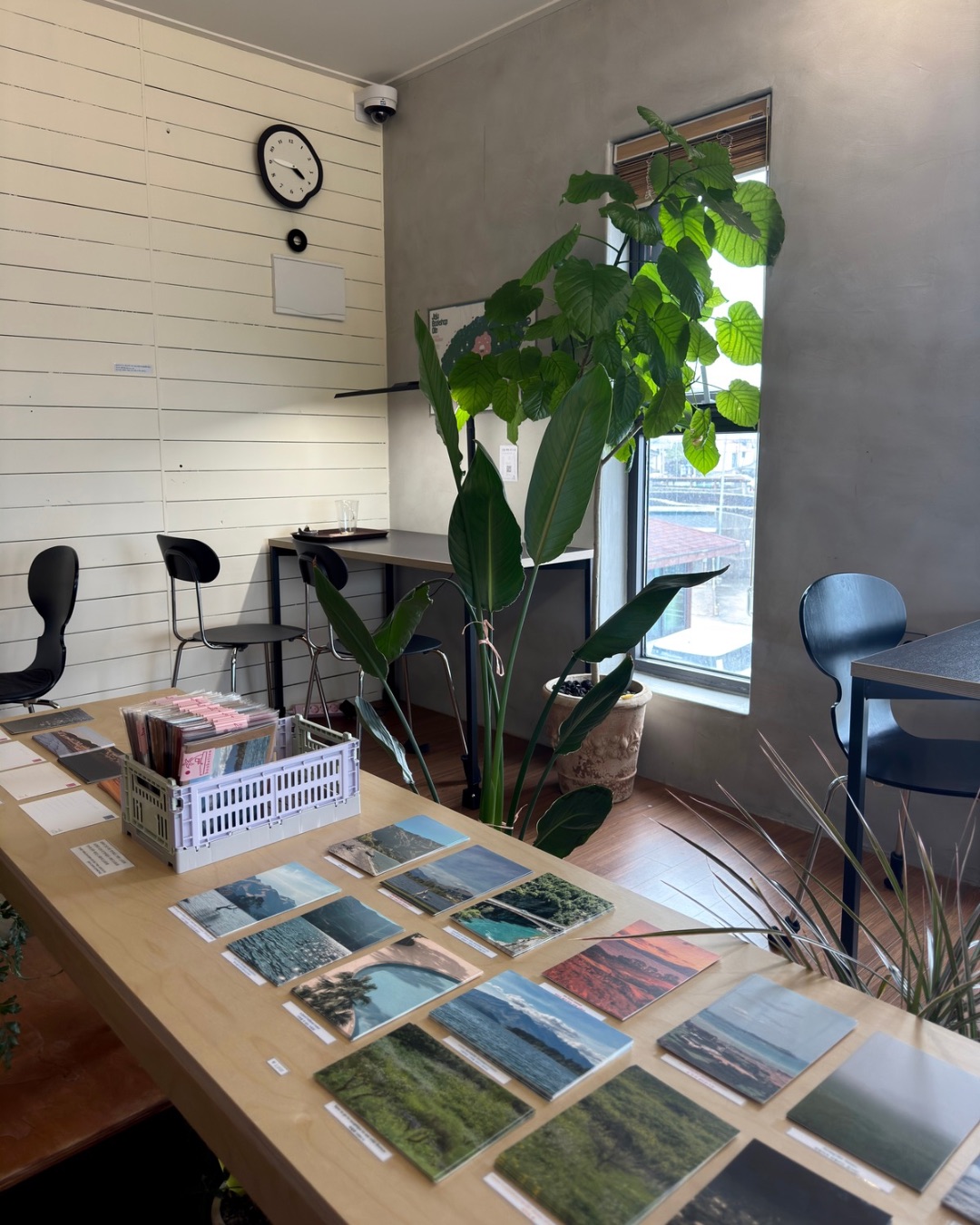 제주에서 만난 작은 책방, 북케이션 &ndash; 책과 쉼이 있는 공간