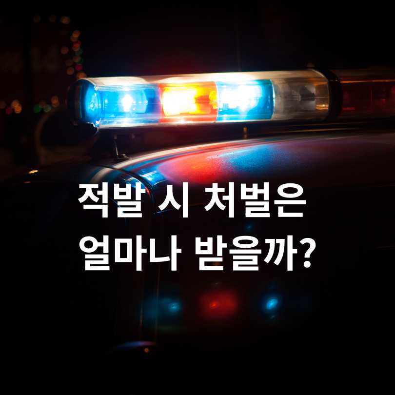 5대 반칙운전 집중단속