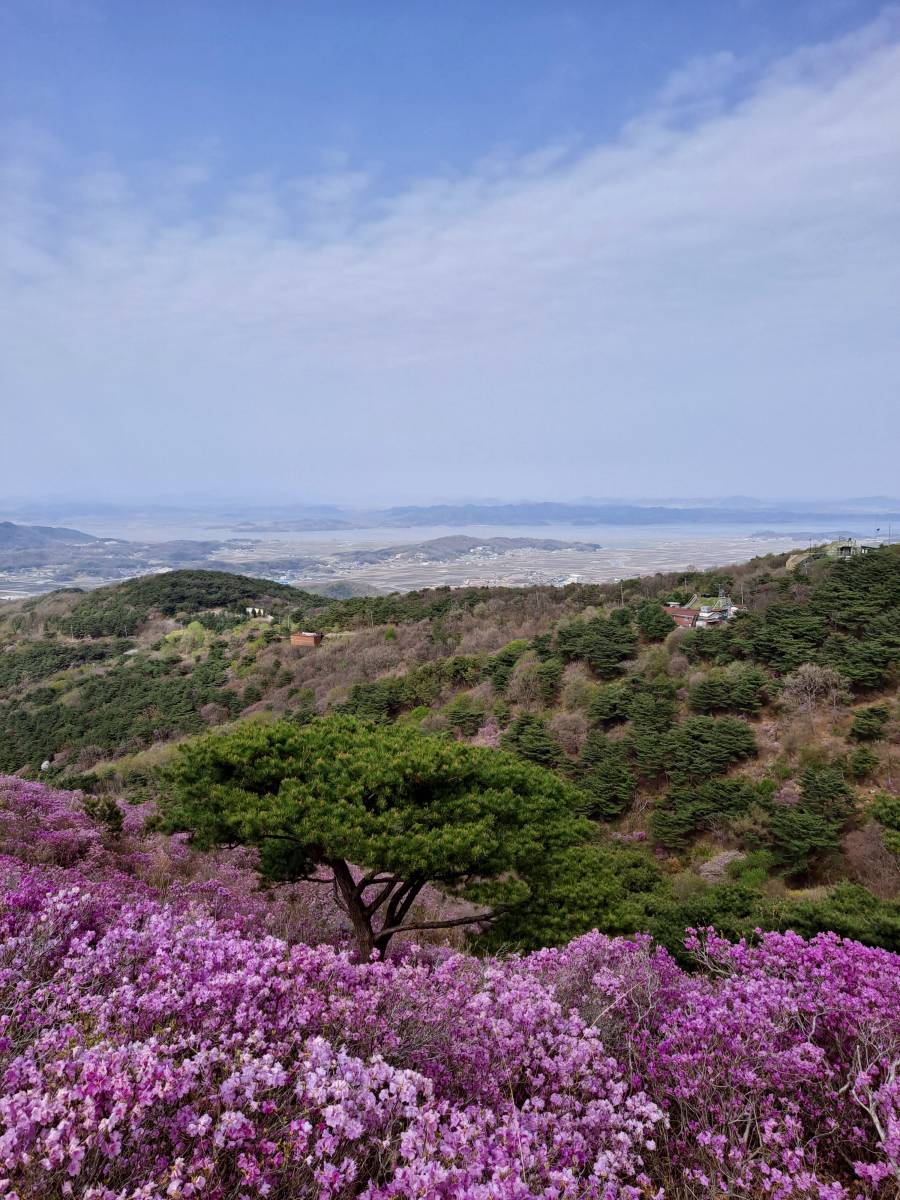 다채로운 색깔의 고려산