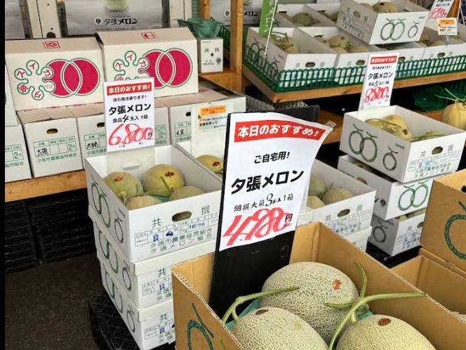 유바리-시장-멜론-가격