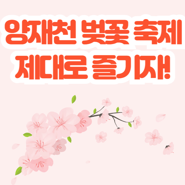 양재천 벚꽃 축제