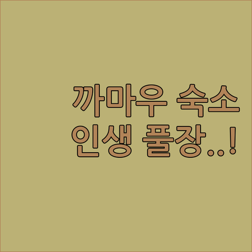 까마우 여행 숙소 결정판 인피니티 풀..