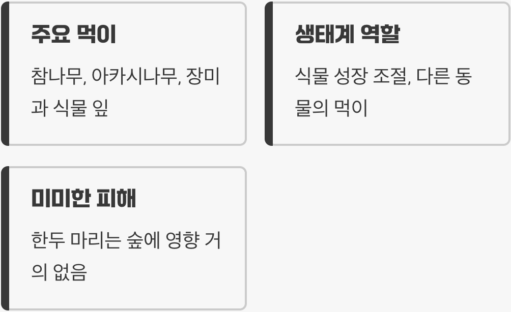 채식주의자의 식성&amp;#44; 무엇을 먹을까?