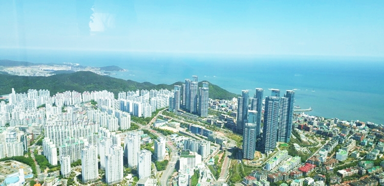 시티뷰