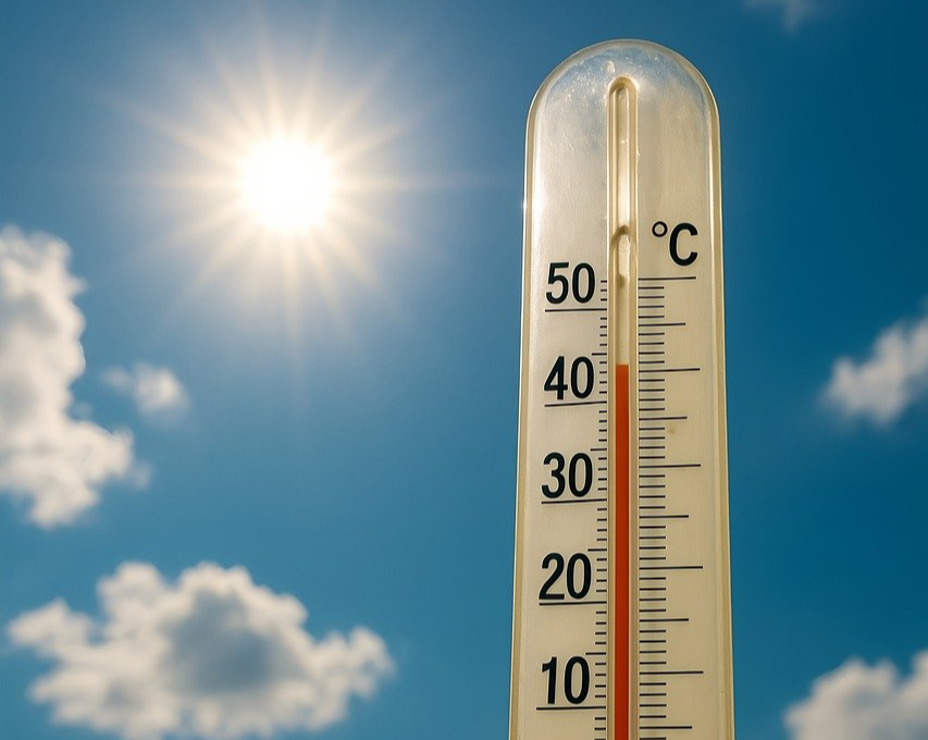 여름철 시니어 건강관리 사진