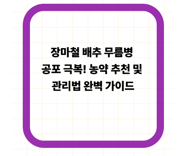 장마철 배추 무름병 공포 극복! 농약 추천 및 관리법 완벽 가이드