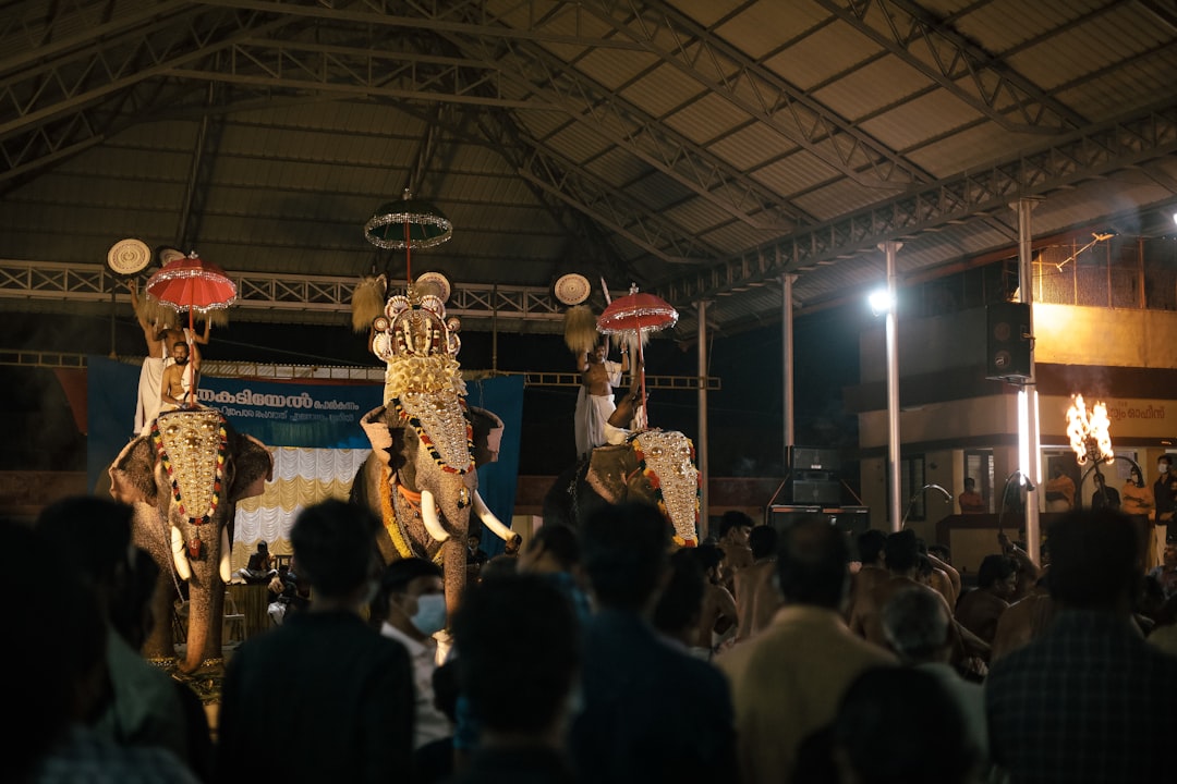 Cultural Festival