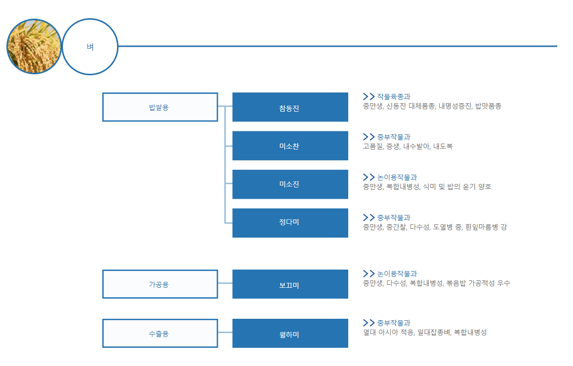 신품종 소개